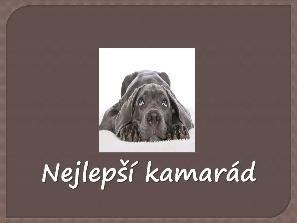 nejlepsi-kamarad.jpg