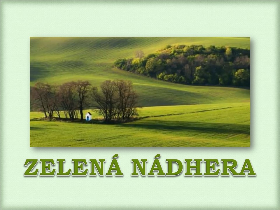 zelena-nadhera--h-.jpg