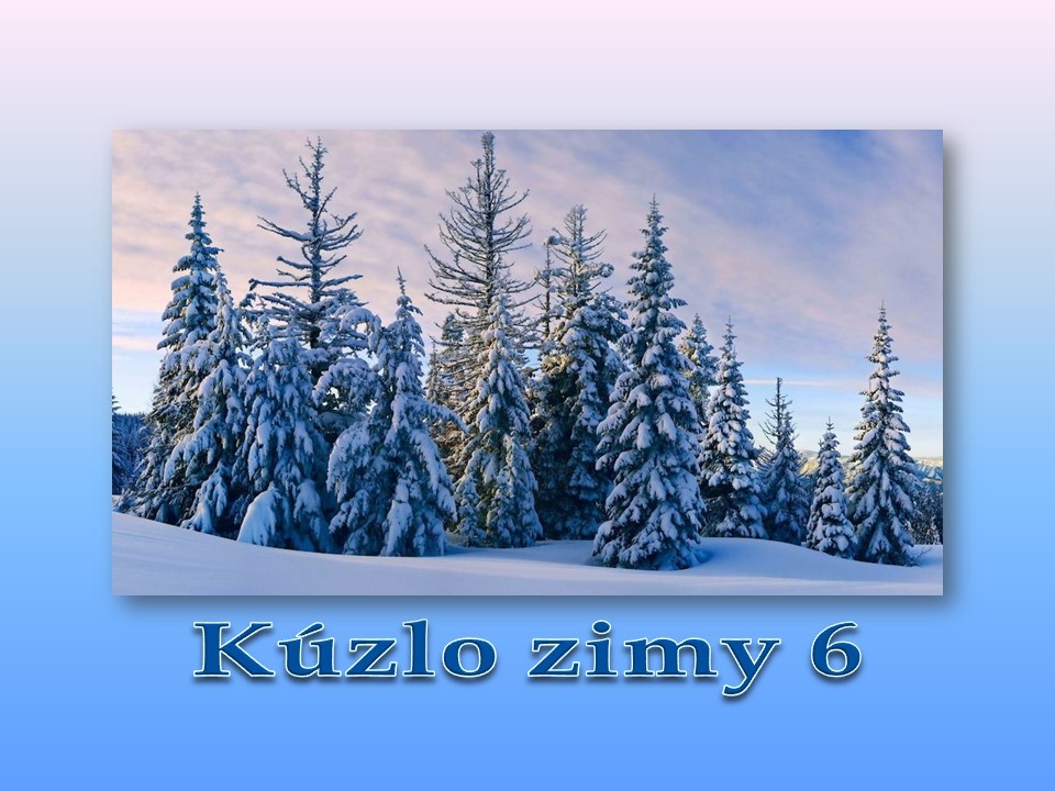 kuzlo-zimy-6-h-.jpg