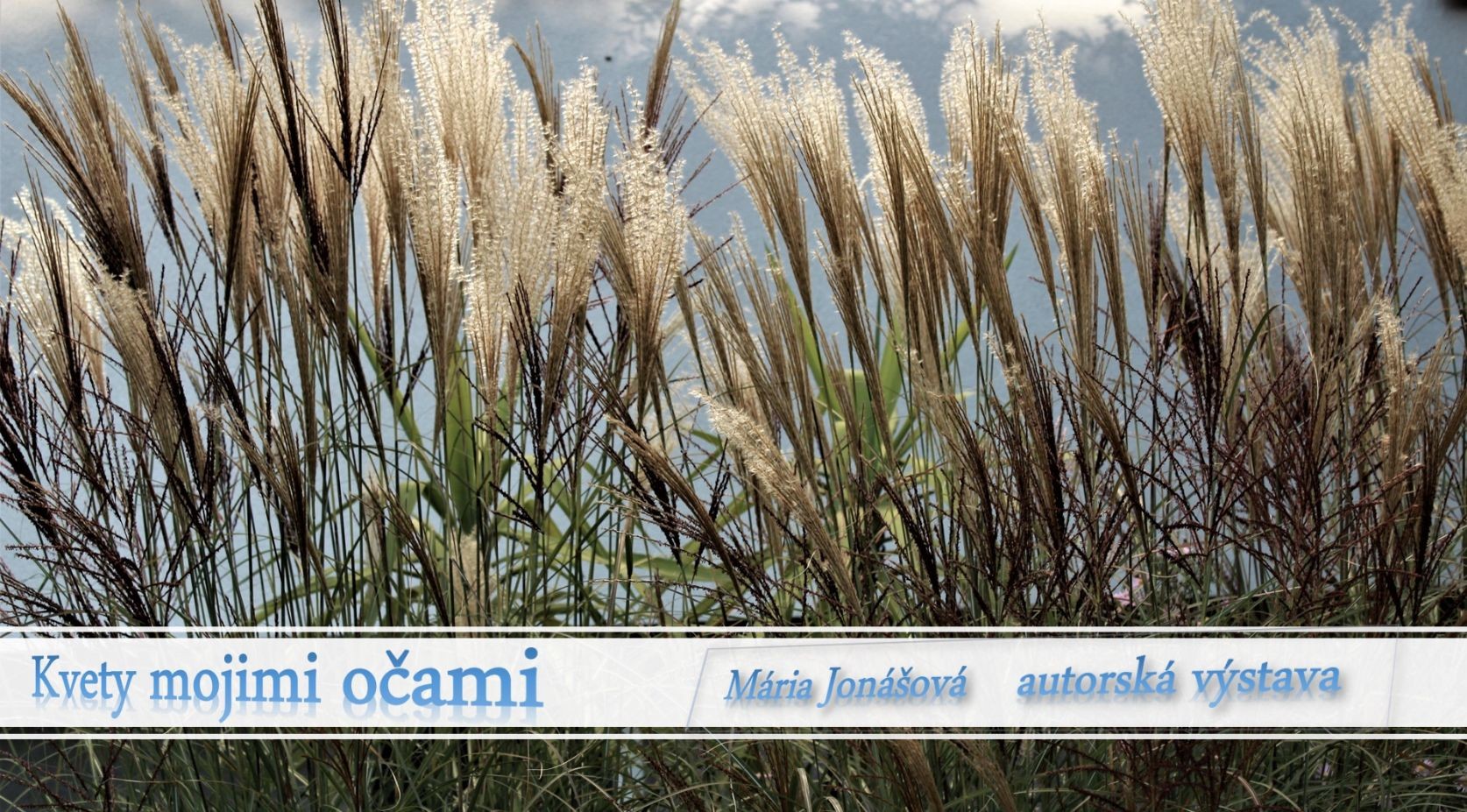kvety_mojimi_ocamy_vystava_mj.jpg